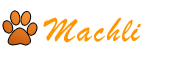 logo text